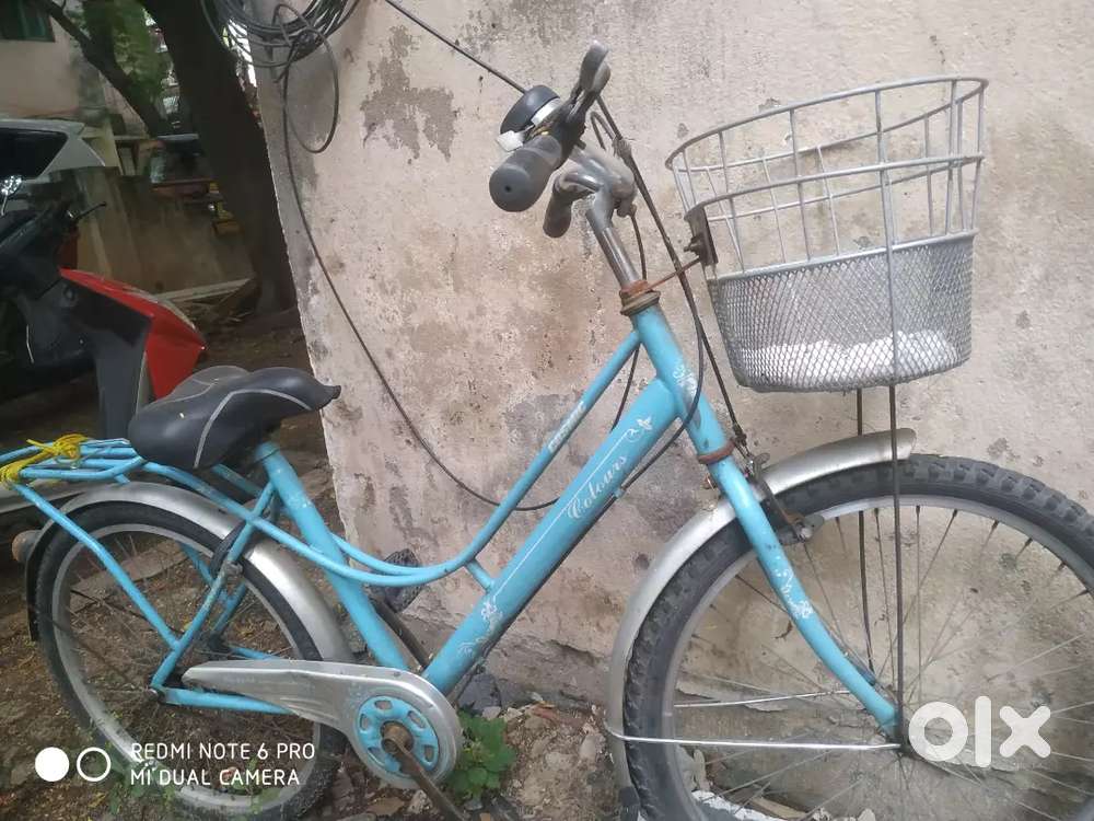 Cycle (lady)