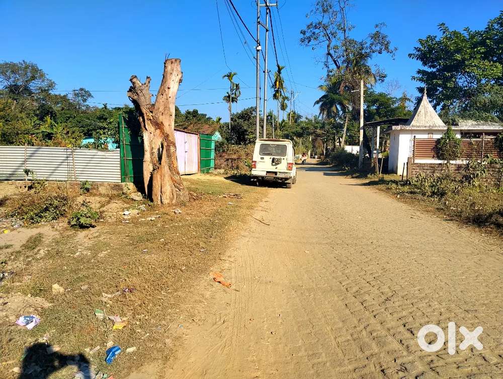 Miyadi Land, Barkura, Nalbari