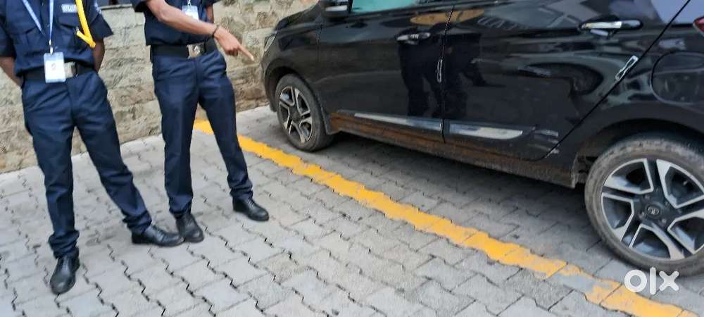 Security Guard/Valet Driver