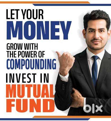 Financial Advisor  Mutual Fund  Insurance