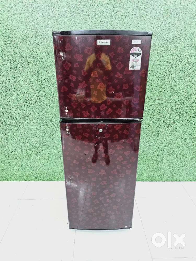 Electrolux double door refrigerator  affordable  price this weekend
