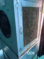 2 months old cooler full size