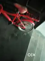Babby cycle. For sale