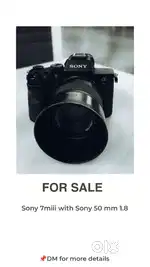 Sony 7miii & Sony 50mm 1.8