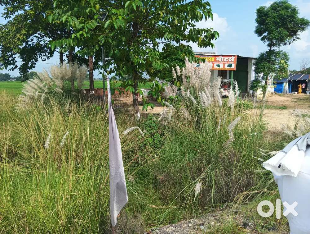 Mohammadpur, pipiganj main road pr h