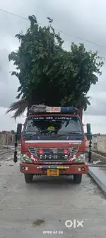 ओरिजनल कंडीशन