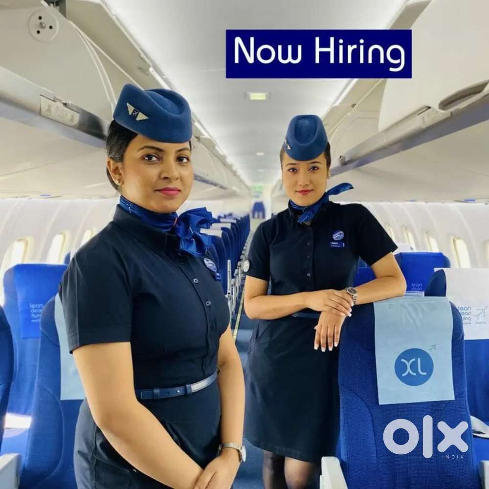 Indigo Airlines jobs /Vacancy for Airport Ground staf / Driver / Crew