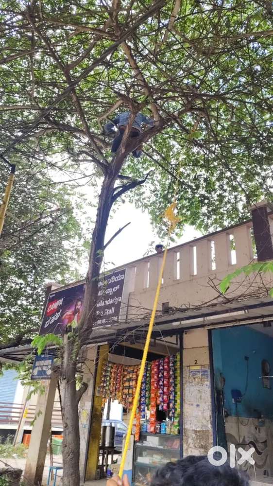 Shop for rent in CV road