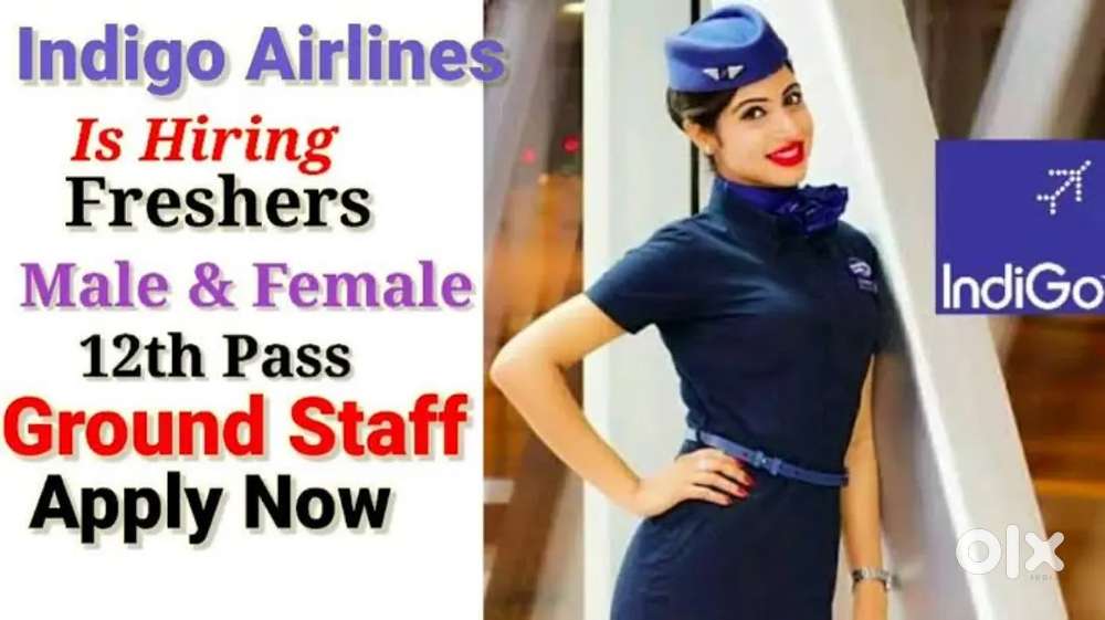 Freshers only 10th,12th pass :: _ R