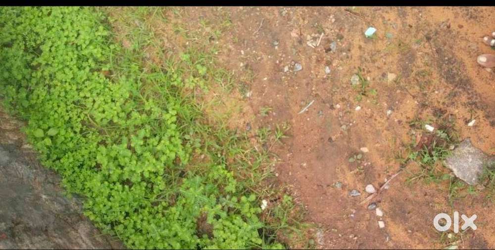 பார்வதிபுரத்தில் வீட்டு மனை விற்பனைக்கு