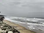 350 meters from Kappil Beach, Varkala, 38 cents sea level.