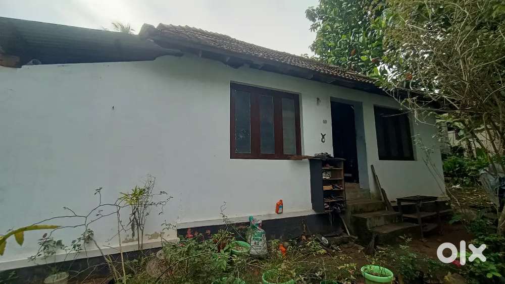 9.25 cent plot with renovated old house. 3 wheeler way