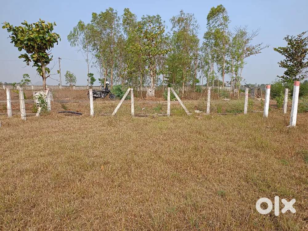 200 sq yrds East Facing Plot : Bhogapuram