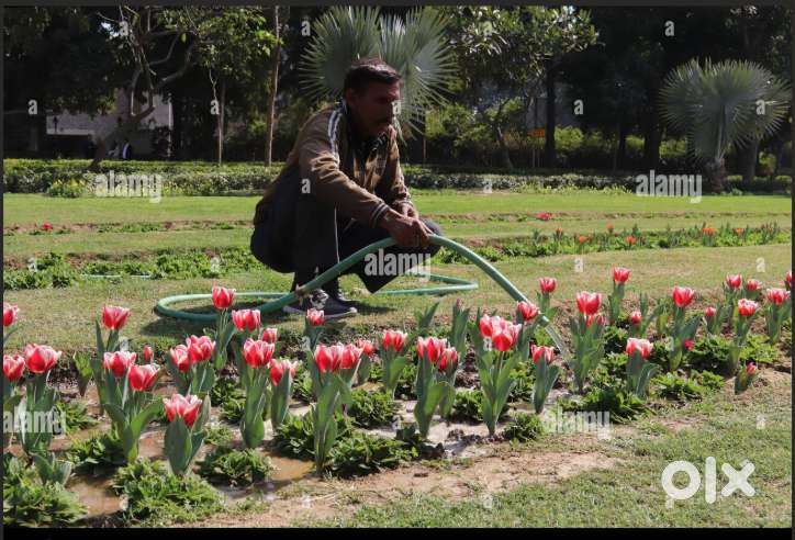 Gardeners-Male& Female