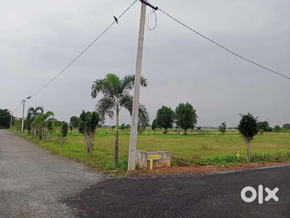 Approved plots with bank loan facility near by IIT, IISER IN TIRUPATI