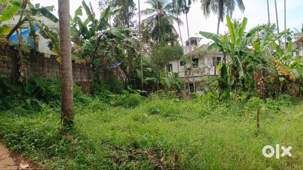 45 CENT LAND FOR SALE NEAR KULANGARA PIDIKA MANKAVU KOZHIKODE