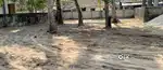 11. 5 CENTS CHAKKARAPARAMBU, COMMERCIAL,RESIDENTIAL PLOT ORIGINAL LAND