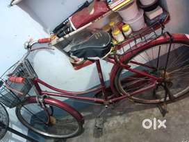 Diana Classic cycle(well maintained)
