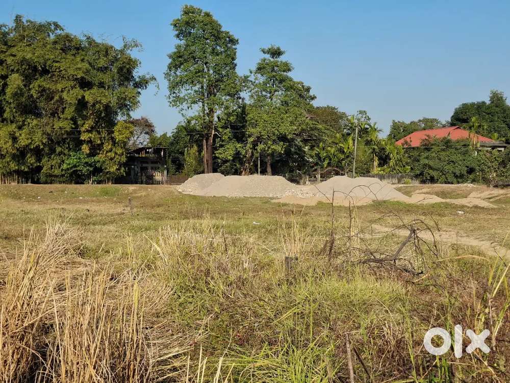 2.5 katha land for sale boginadi (North lakhimpur)