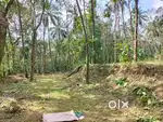 One yakar land