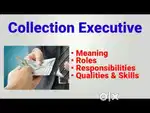COLLECTION EXECUTIVE JOBS