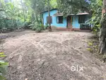 Kochi cheranalloor signal near 13 cent old house for sale