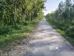 It's prime location agriculture for use and investment