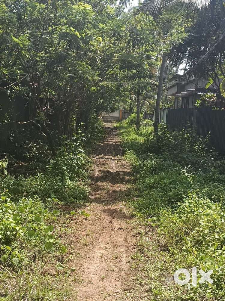 05cent plot for sale, Sultan mukku,ochira-ayiramthengu road.
