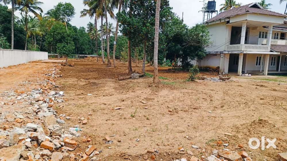 തൃശ്ശൂർ പൂച്ചിണിപാടത്ത് ഹൗസ് പ്ലോട്ടുകൾ വിൽപ്പനയ്ക്ക്