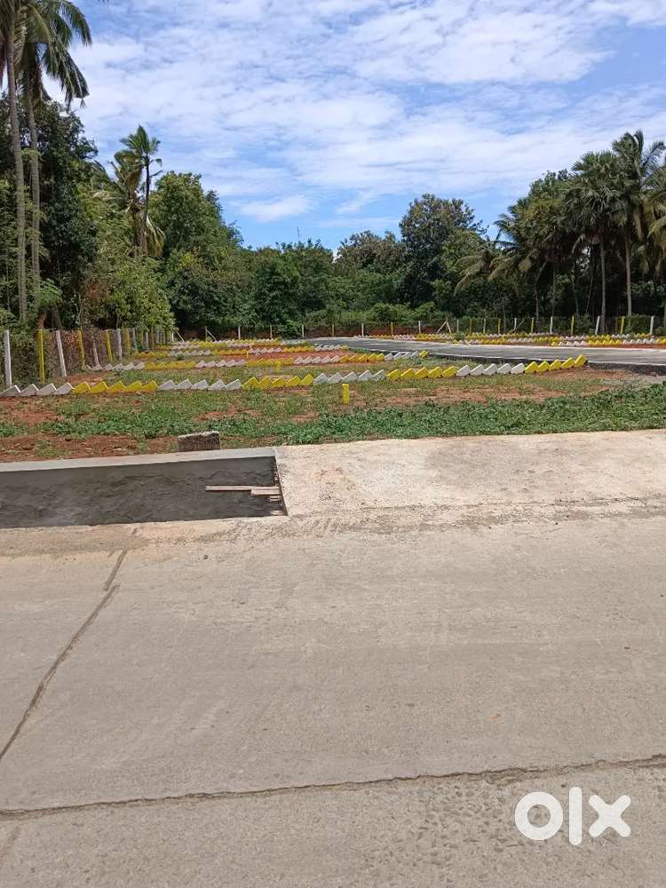 3 Cent DTCP Approved Housing Plot for Sale in Konam Paruthivilai