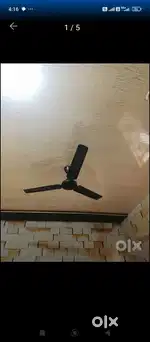 Shop/office