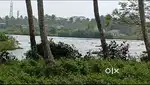 2.5 Acres Water Front Land for Sale Kochi