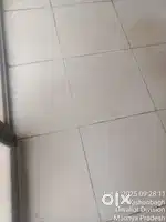 Maid required
