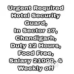 5 Star Hotel Security Guard Job Chandigarh 71