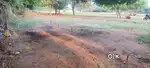 Maraimallai nagar kalivanthapattu sqft, 835, sqft  rate 1300 DTDC Land