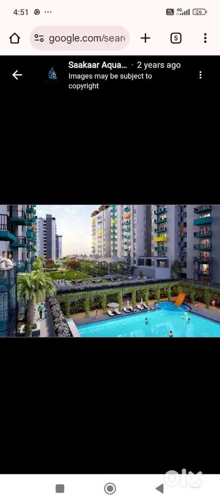 respective and loyal people allow only