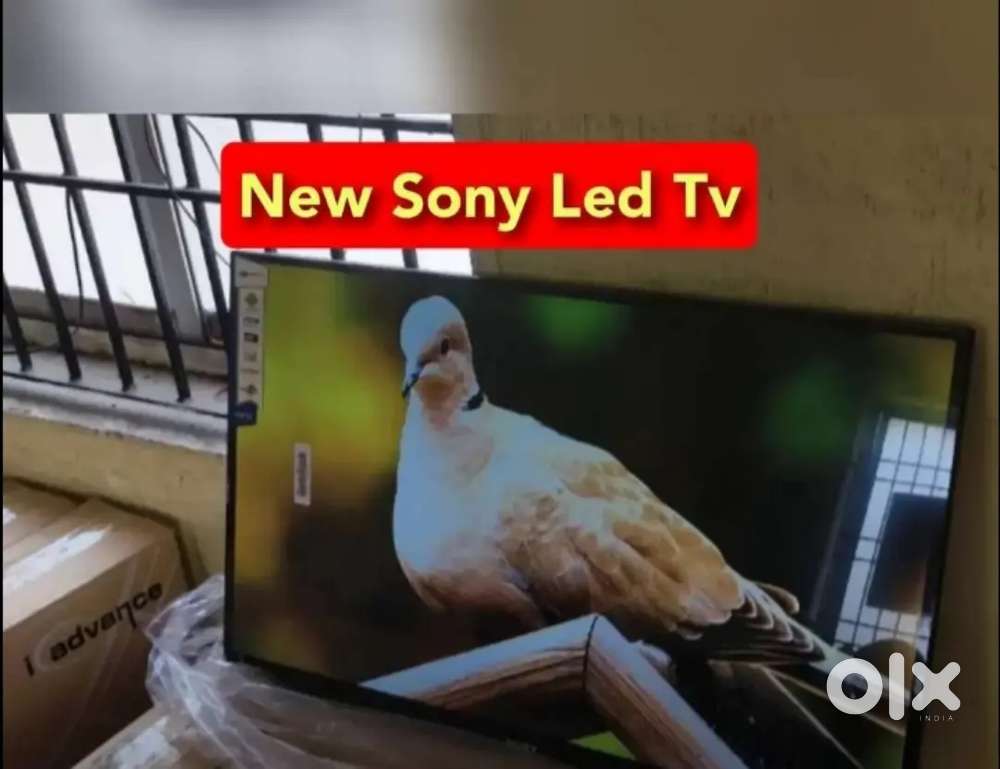 High quality LED TV wholesale price just 12000 43in