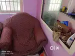 Single seater 2 sofa and one big sofa