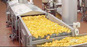 Continuous Fryer (Industrial Grade) - NEW & UNUSED