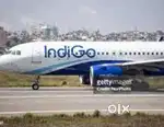 APPLY URGENT AIRPORT JOBS INDIGO AIRLINES GROUND STAFF & CABIN CREW