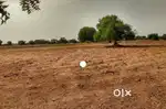 17 bigha agricultural land in khaildpur mawana