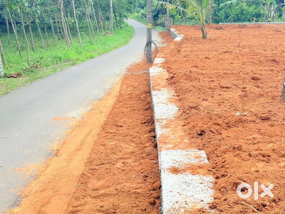 46 CENTS AT PAZHAMTHOTTAM