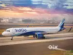 Cabin Crew/ Airport Ground Staff Jobs in Indigo Airport