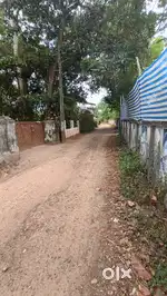 ആലപ്പുഴ കളർകോട് അമ്പലത്തിന്റെ തെക്ക്  6 സെന്റ് ലാൻഡ് വില്പനക്ക്