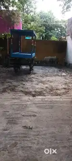 Need cooking master