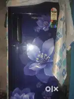 Banfool new fridge