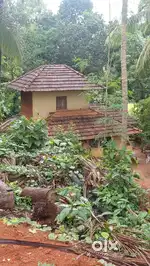 1.5 Acre of Land for Sale