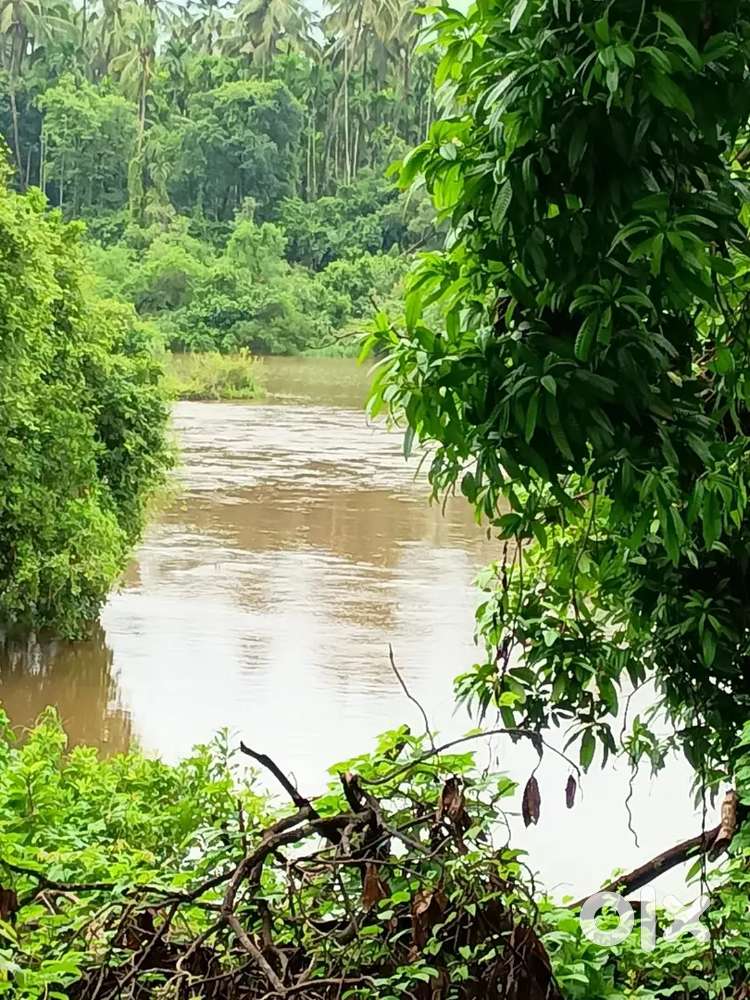 River front beach side apartment for long / short term rent