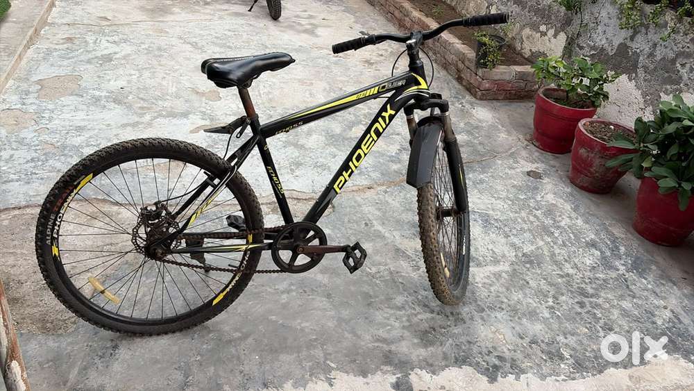 Phoenix cycle 27.5 condition is good