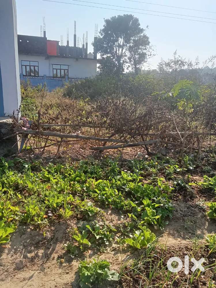 Singhniwall Shimla bypass rod